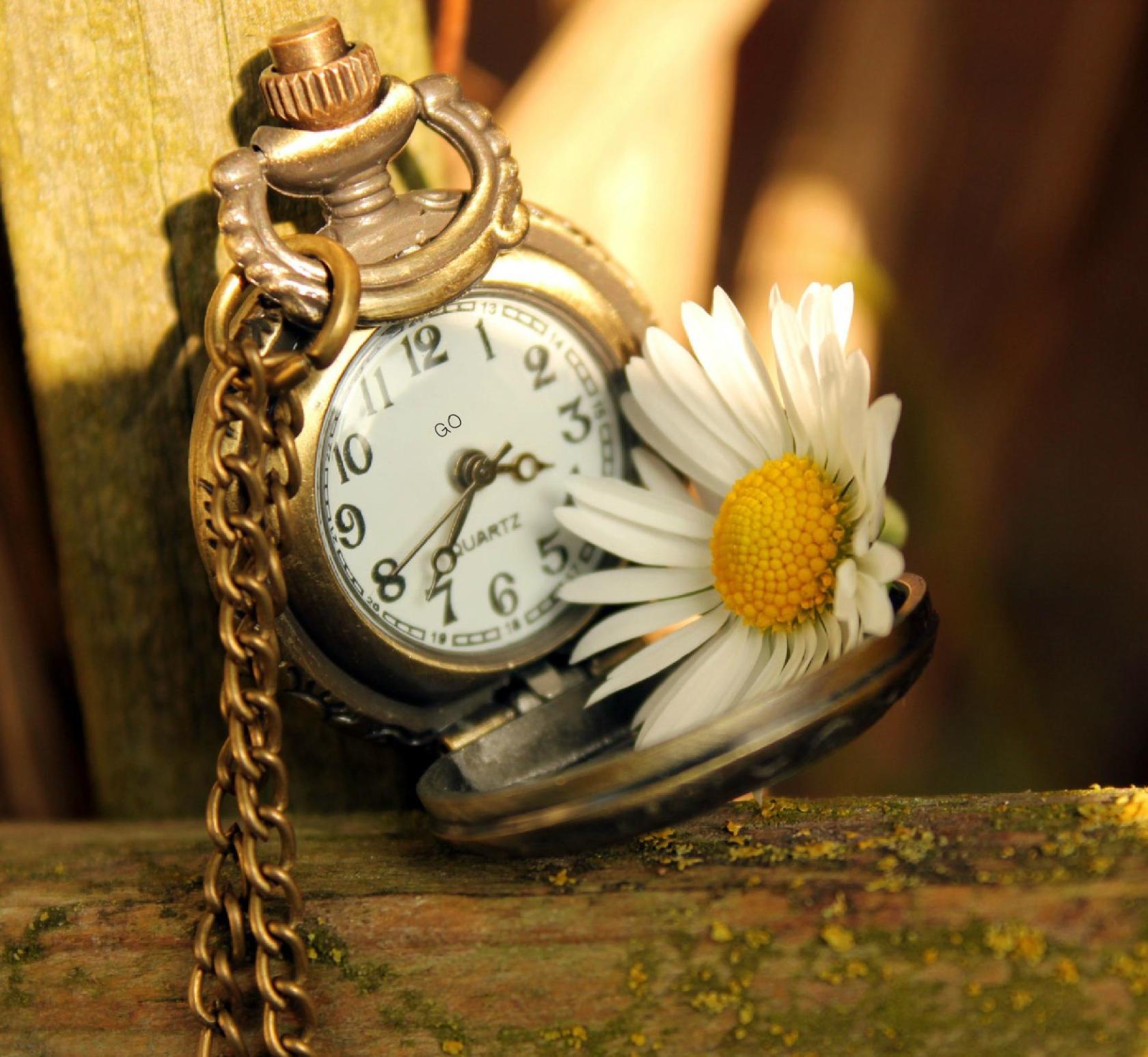 Пока есть время на часах...