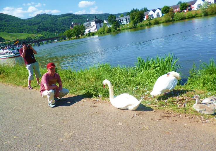 Das Kollektive Bewusstsein