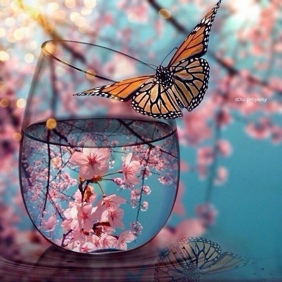 Не волнуйся - по пустому!