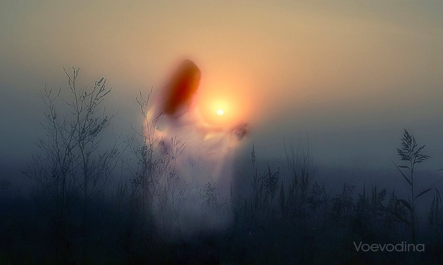 Я светом Звёздным...