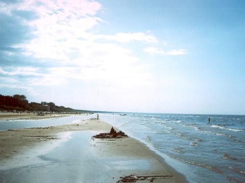 Воспоминания о лете