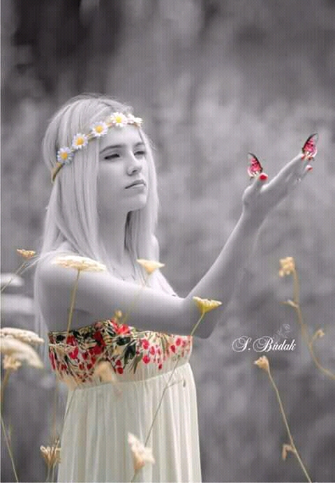 Запретная любовь