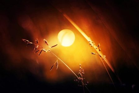 Выйдет солнце...