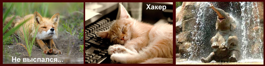 Праздник лени. Ирина Расулова