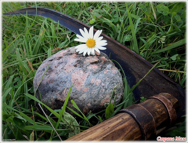 Коса и камень...