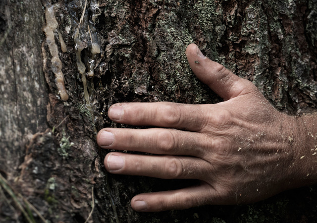 Я убежал от суеты