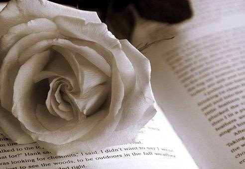 Мораль трусики купила...