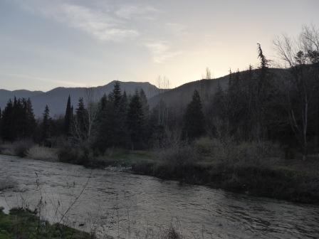Пакуй чемоданы. Веселинка Стойкович