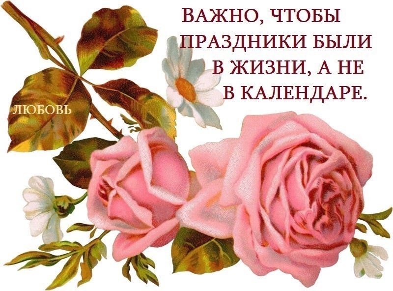 Ну здравствуй... ,милый мой дружок!