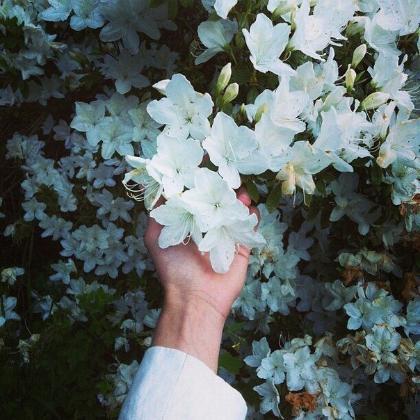 Когда мы счастливы, мы так добры