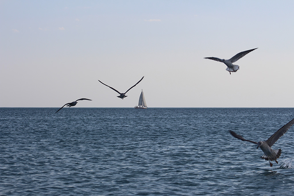 А в Евпатории жара! Весёлая поэзия!!!