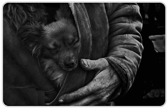 Солюбить - так, не бывает!