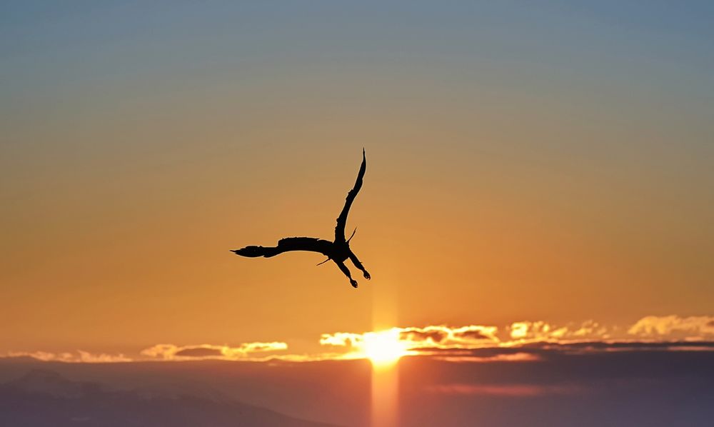 Блёклый закат