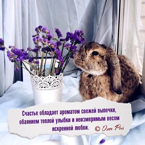 Счастье - свет любви...