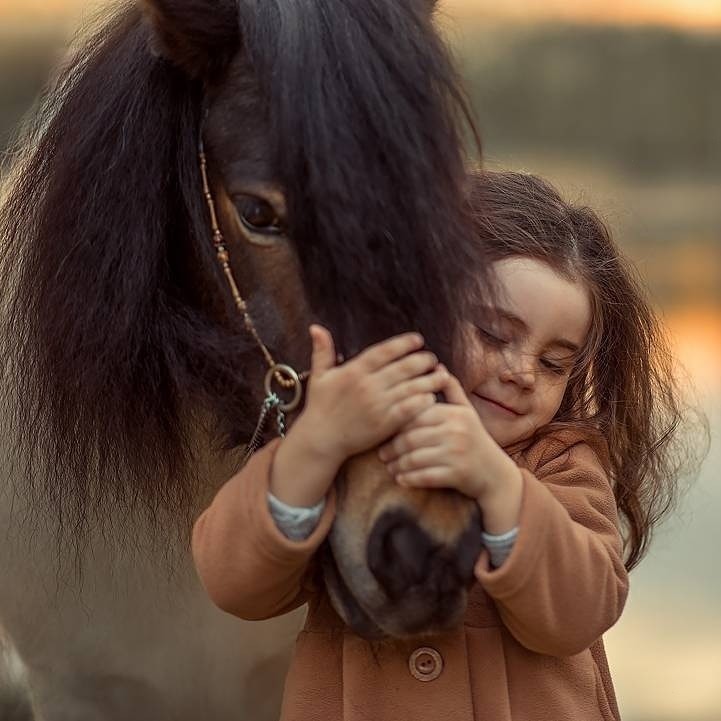 Куда чуткость исчезает?