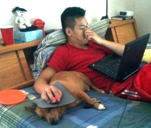 Рецензия на стихо http www. stihi. ru 2018 05 22 9