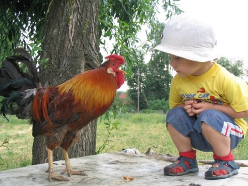 Горькое утро