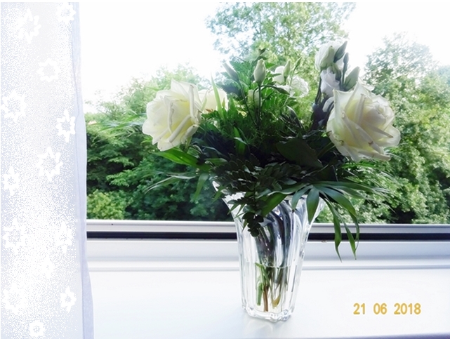 Утро - маленькое царство!