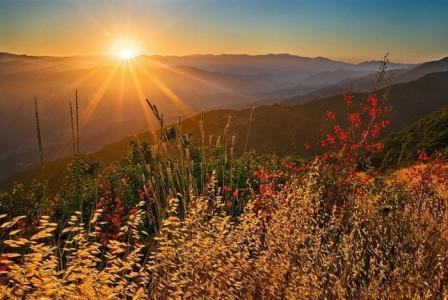 Летний поворот