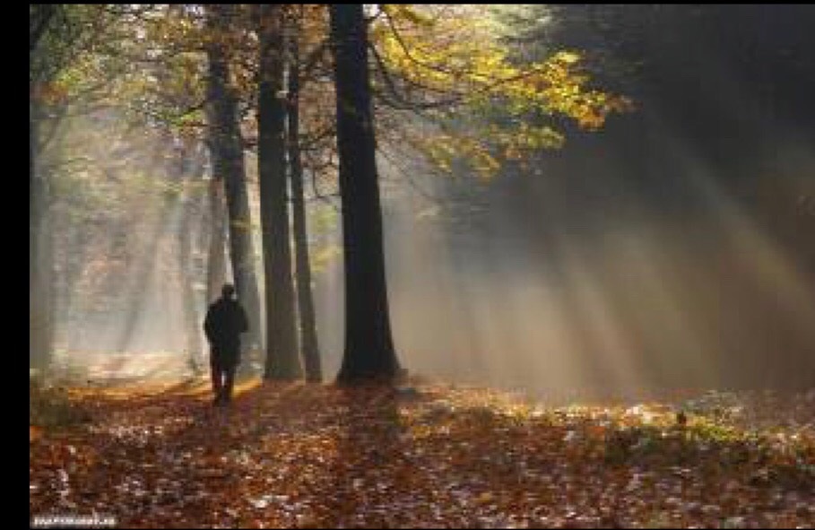 Ты просто чудо в этом парке