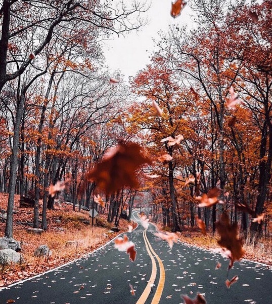 Последний лист