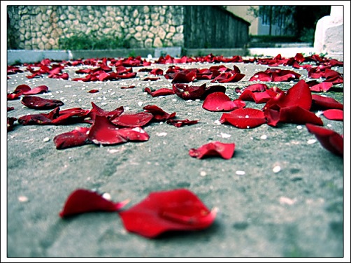 Вползает утро