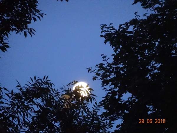 Мама дальних звёзд...