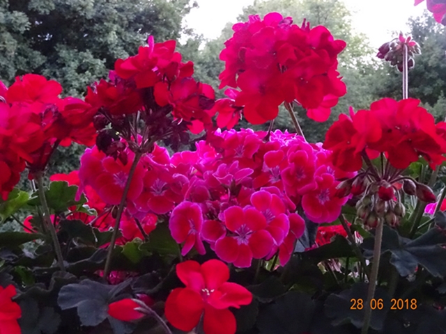 Территория доверия