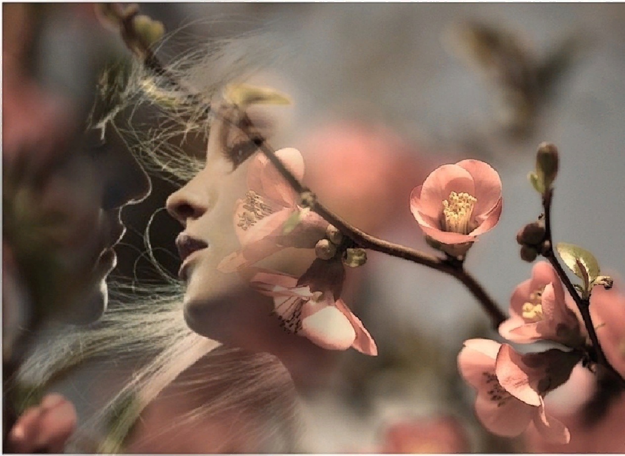 Весной хочется жить. Весенняя любовь. Нежность природа. Душевные цветы.
