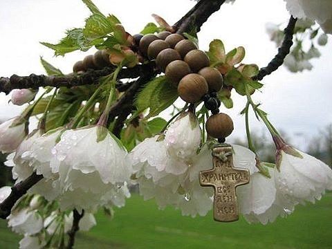 Семейные реликвии