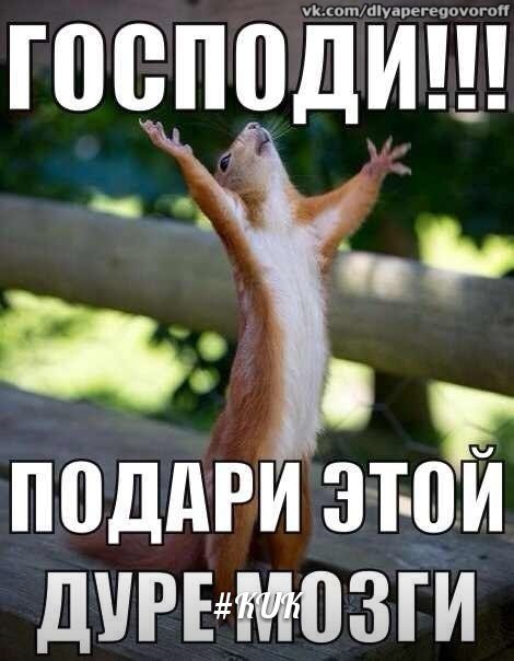 Картинка с надписью дура