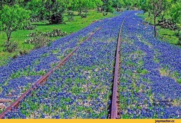 Транссибирский экспресс - драйв-блиц-конкурс 3-5 и