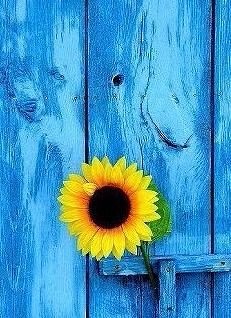 ВСЕМ ЛИ РАДЫ...