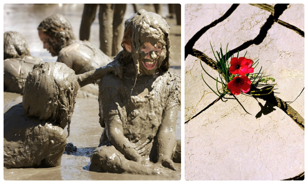 Все дети наши