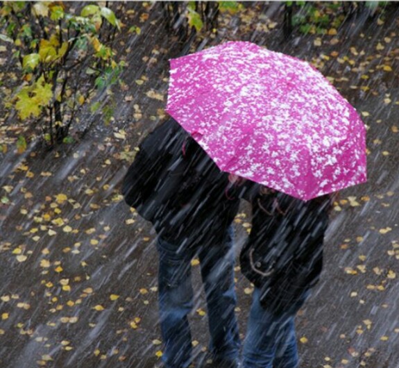 Летний дождь