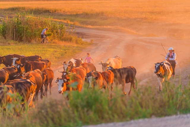 На утро - всё по новой...