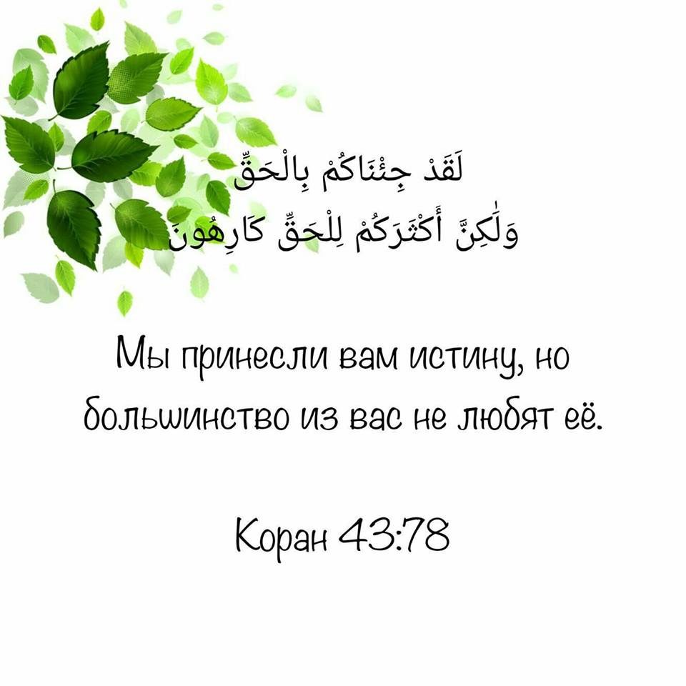 Причина вечного несчастья