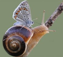 Жизнь волшебна...