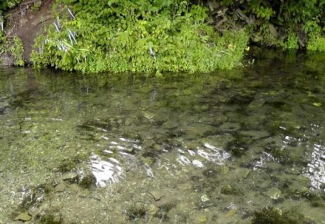 У источника