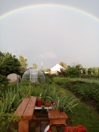 Солнышко на работе