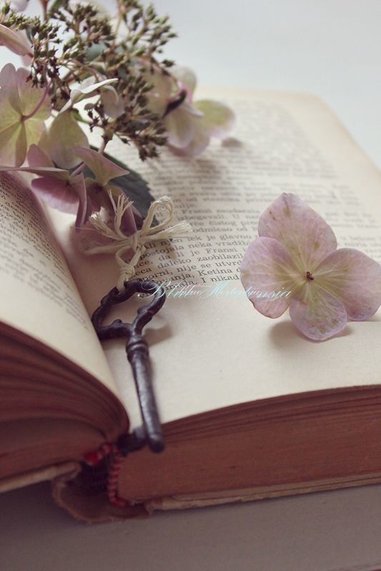 Бульдозерное мнение...