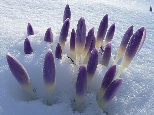 Он чувствовал, как вздрогнула земля...