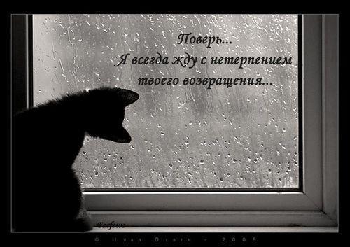 Нет разлуке конца...