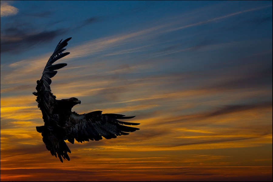 Сказ про Ткача. Глава 3