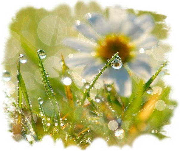 После дождя