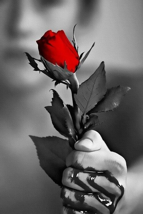 Зная - наших...