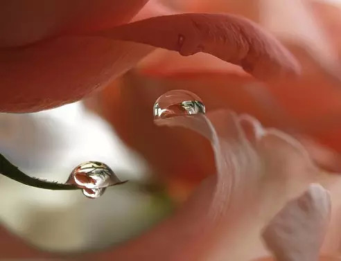 А мы с тобой на разных полюсах...