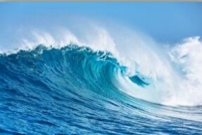 Я хочу на Тихий океан