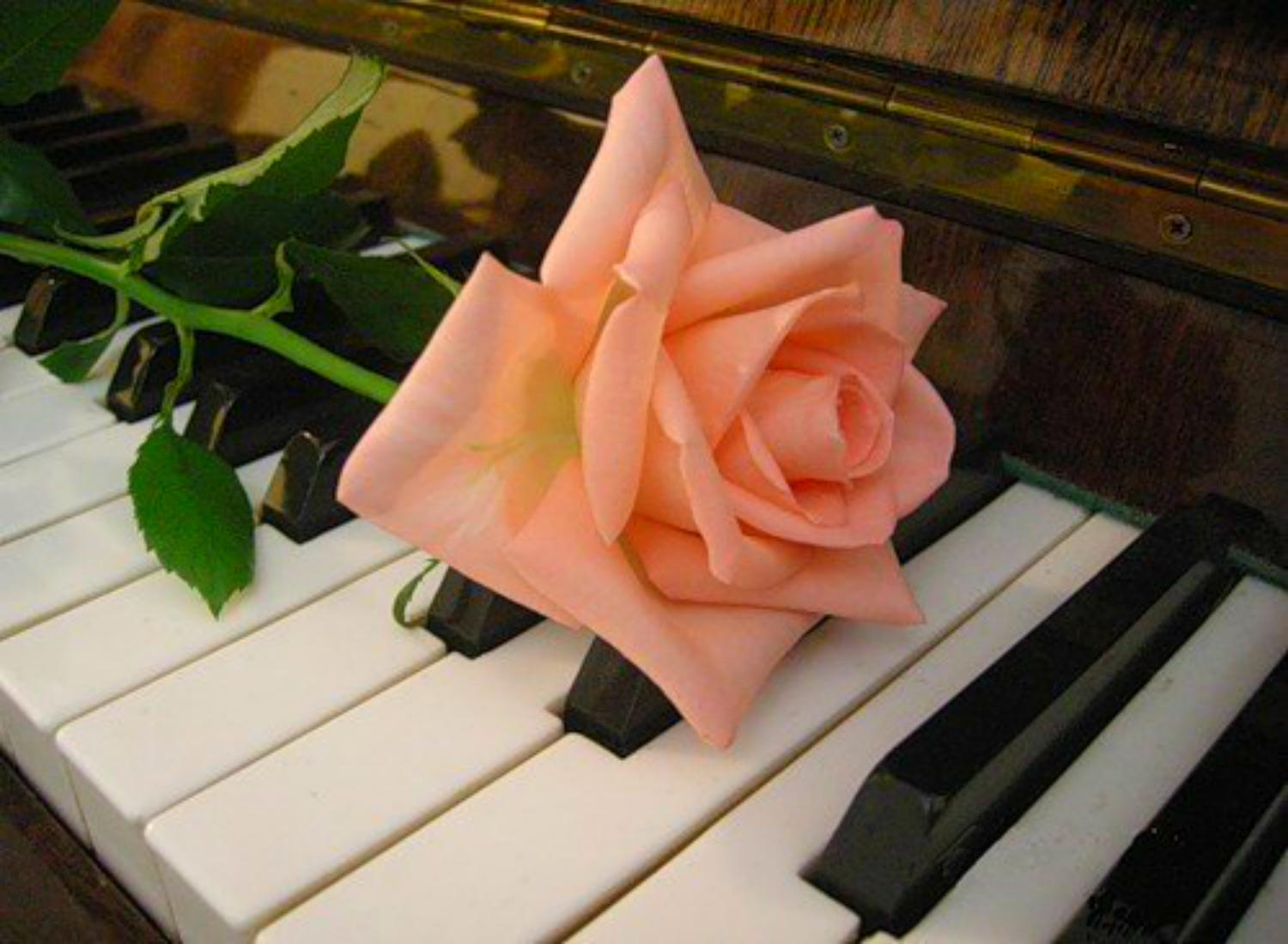 Так не бывает!