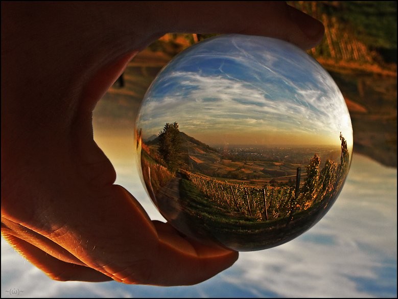 Без-конечные прогулки 15 лист 12 роман-коллаж